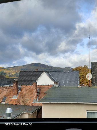 IMG20201029093420.jpg