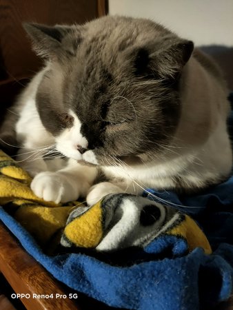 IMG20201028204129.jpg