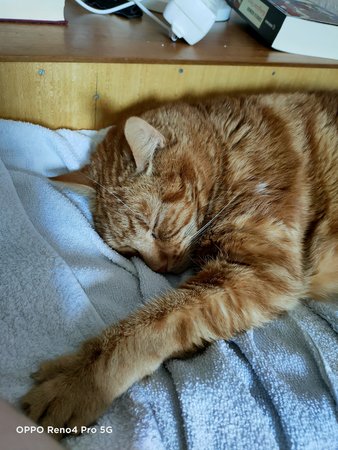 IMG20201028160115.jpg