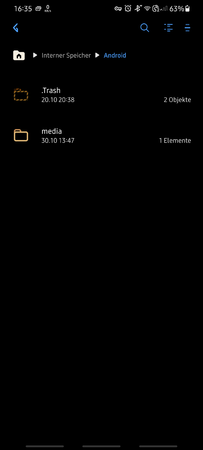 Screenshot_20201030-163556_My Files.png