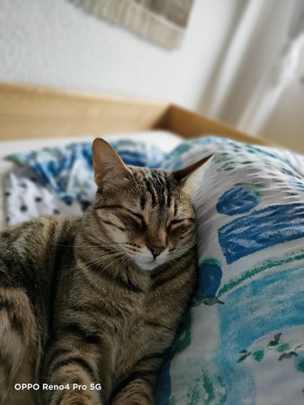 IMG20201030120214.jpg