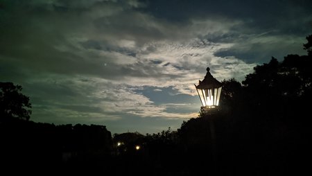 IMG_20201031_183501.jpg