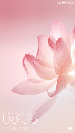 Preview_Bloom_Theme.jpg