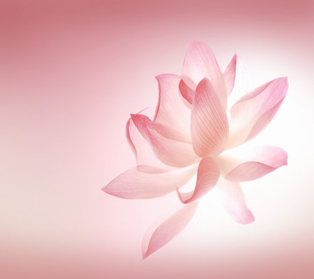 Bloom_Wallpaper.jpg