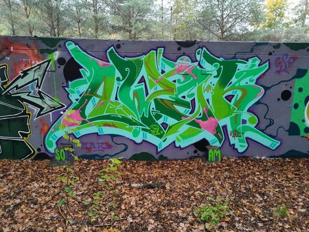 IMG20201031082034.jpg