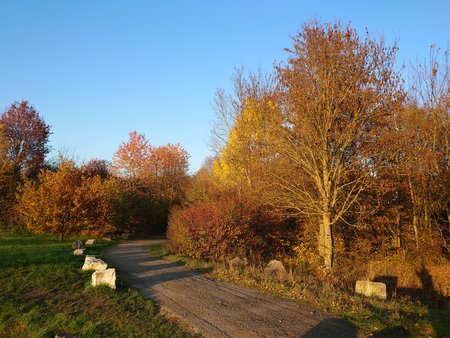 DSC_0232.JPG
