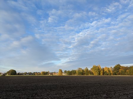 PXL_20201101_143122992.jpg
