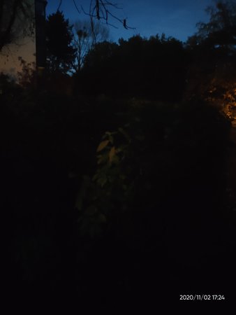 IMG20201102172419.jpg