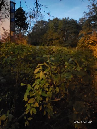 IMG20201102172426.jpg
