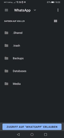 Screenshot_20201104_182022_com.android.documentsui.jpg