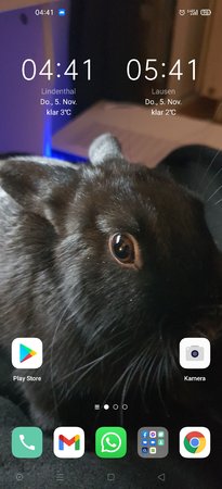 Screenshot_2020-11-05-04-41-23-09.jpg