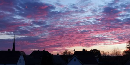 IMG_20201104_165009.jpg