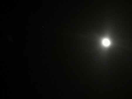 IMG_20201103_235625.jpg