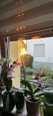 IMG_20201106_074123.jpg
