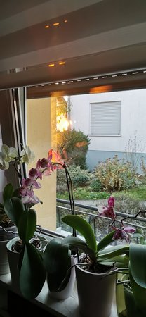 IMG_20201106_074202.jpg