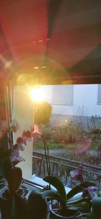 IMG_20201106_074145.jpg