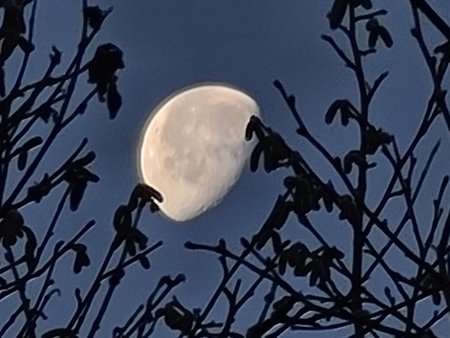 20201106_072704.jpg