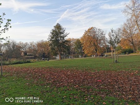 IMG_20201107_152300.jpg
