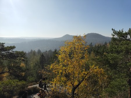 IMG20201108120859.jpg