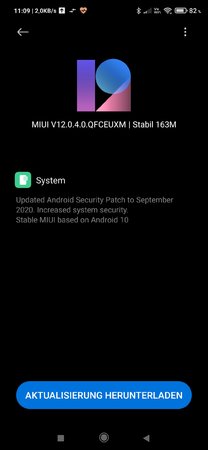 Screenshot_2020-11-09-11-09-17-941_com.android.updater.jpg