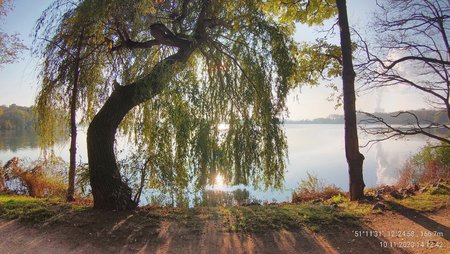 20201110_141241.jpg