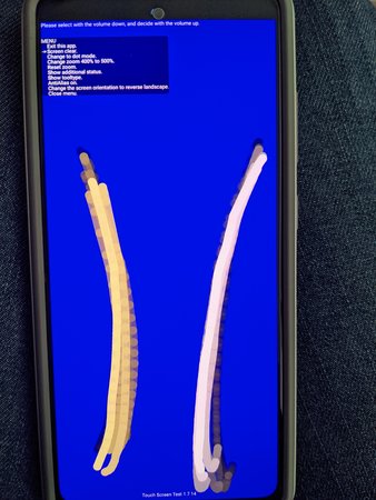 PXL_20201113_093703836.jpg