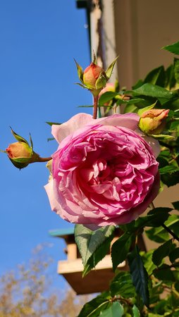 20201114_141806.jpg