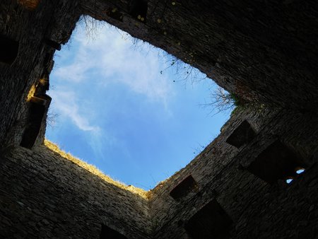 IMG_20201114_160222.jpg