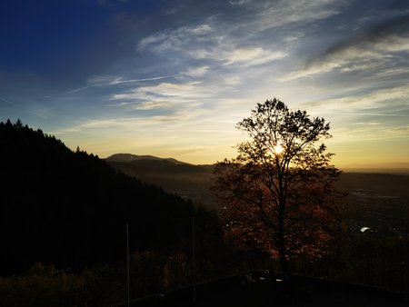 IMG_20201114_162724.jpg