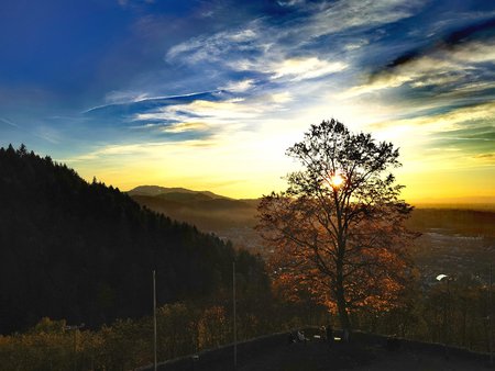 IMG_20201115_141019.jpg