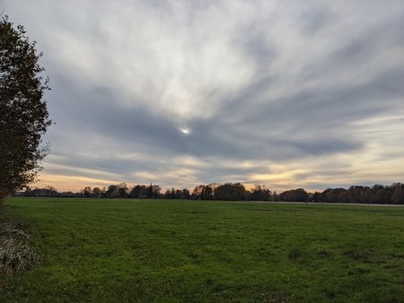 PXL_20201115_132200573.jpg
