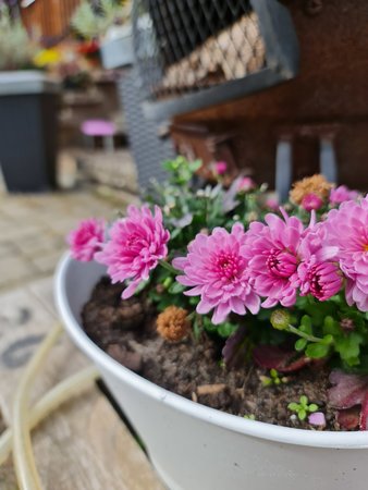 20201004_144921.jpg