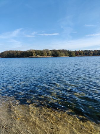 FotoOnePlus.jpg FotoOnePlus.jpg