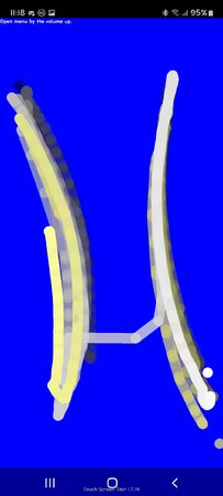 Screenshot_20201117-111848_Touch Screen Test.jpg