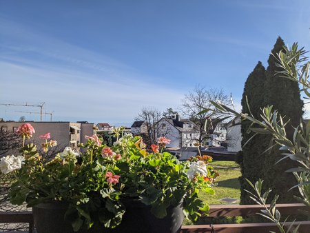 PXL_20201117_125443366.jpg