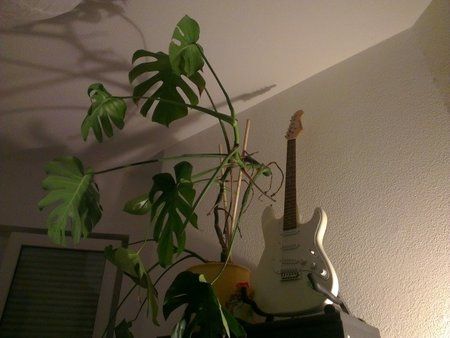 01_HTC_1-20s_ISO-800.jpg