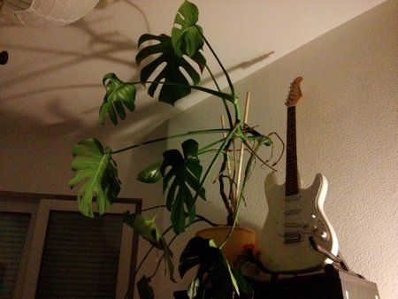 01_LG_1-15s_ISO-1600.jpg
