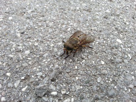 20120628_132548.jpg