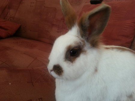 20120628_154459.jpg