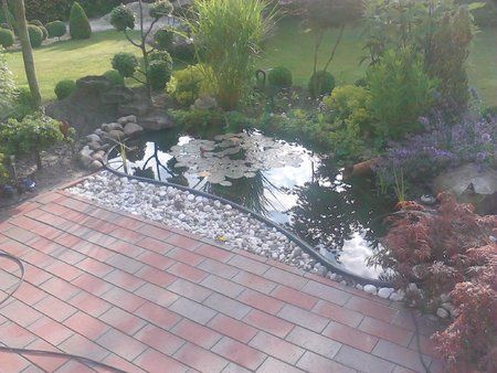 IMG_20120630_080900.jpg