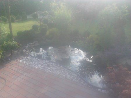 IMG_20120630_080914.jpg