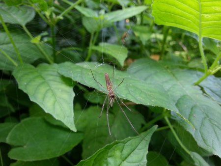 20120630_132115.jpg