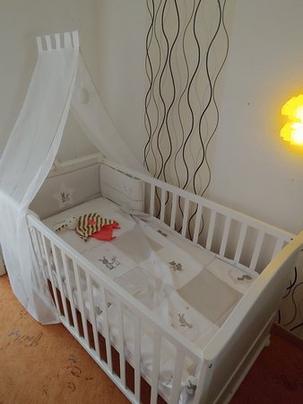 20201116_131521.jpg