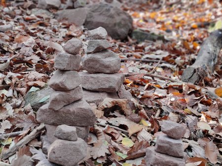 IMG_20201115_132332_Bokeh.jpg