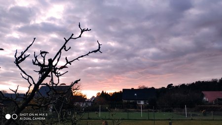 IMG_20201120_163126.jpg