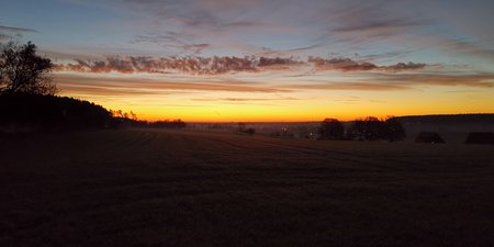 IMG_20201119_065218.jpg