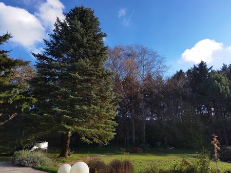 IMG_20201121_115754.jpg