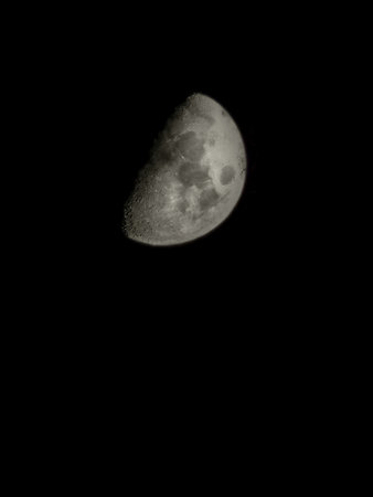 1606159980714.jpg