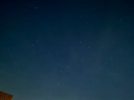 IMG_20201126_023708.jpg