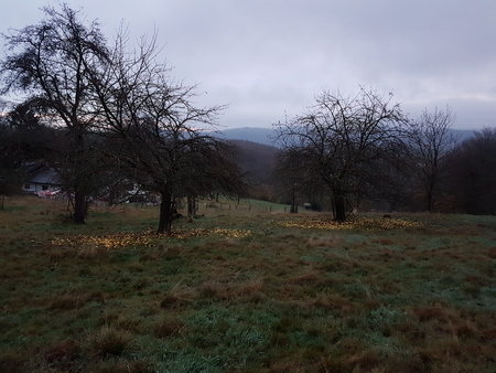 20201124_074217.jpg